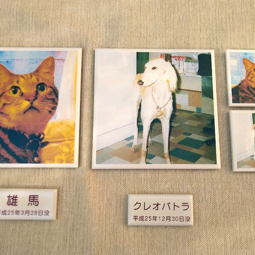 15×20cm角フォトタイル フルカラー写真・イラストなどのオリジナル