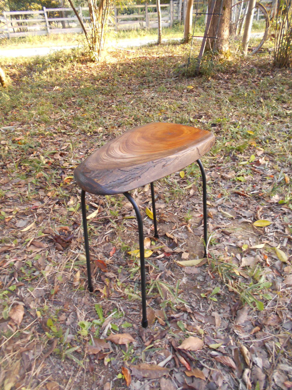 けやき　　イス　11-08-1　（高さ50㎝　高さ変更可能）