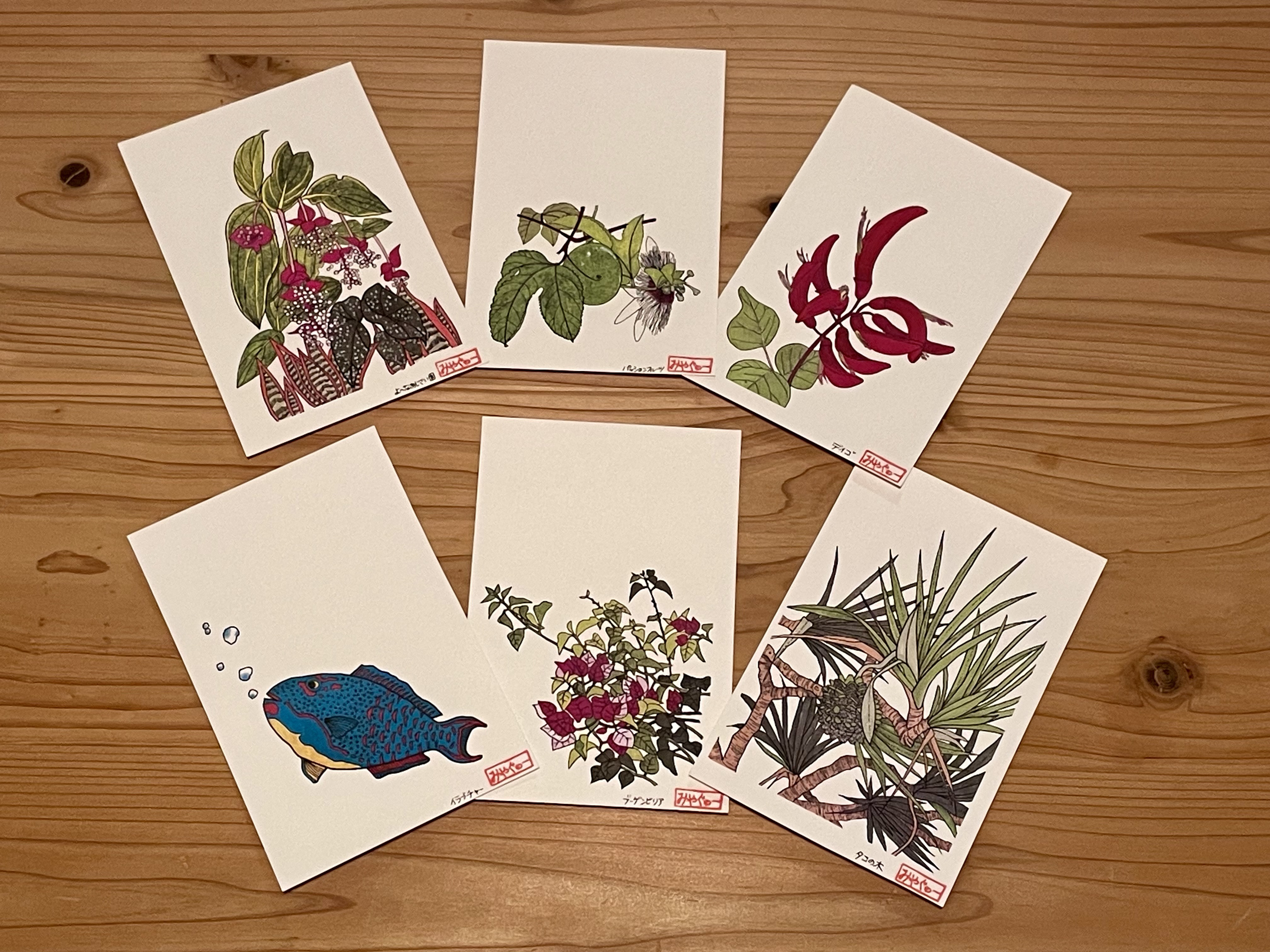 沖縄風景　波の上　NAMINOUYE　OKINAWA　郵便ハガキ　絵葉書