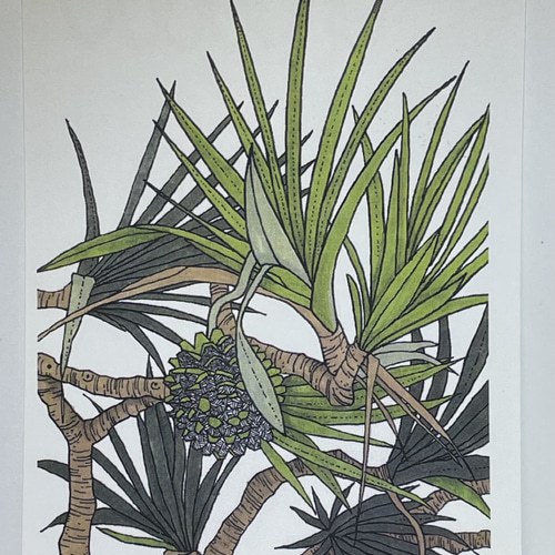 沖縄の風景 ハガキ3 ポストカード みやぐゎー 通販 18490882｜Creema