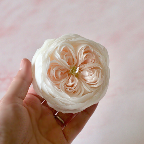 【QUEEN ANNE】 薔薇のキャンドルスタンド ゴージャス QUEEN ANNE】 薔薇のキャンドルスタンド ゴージャス 美術品