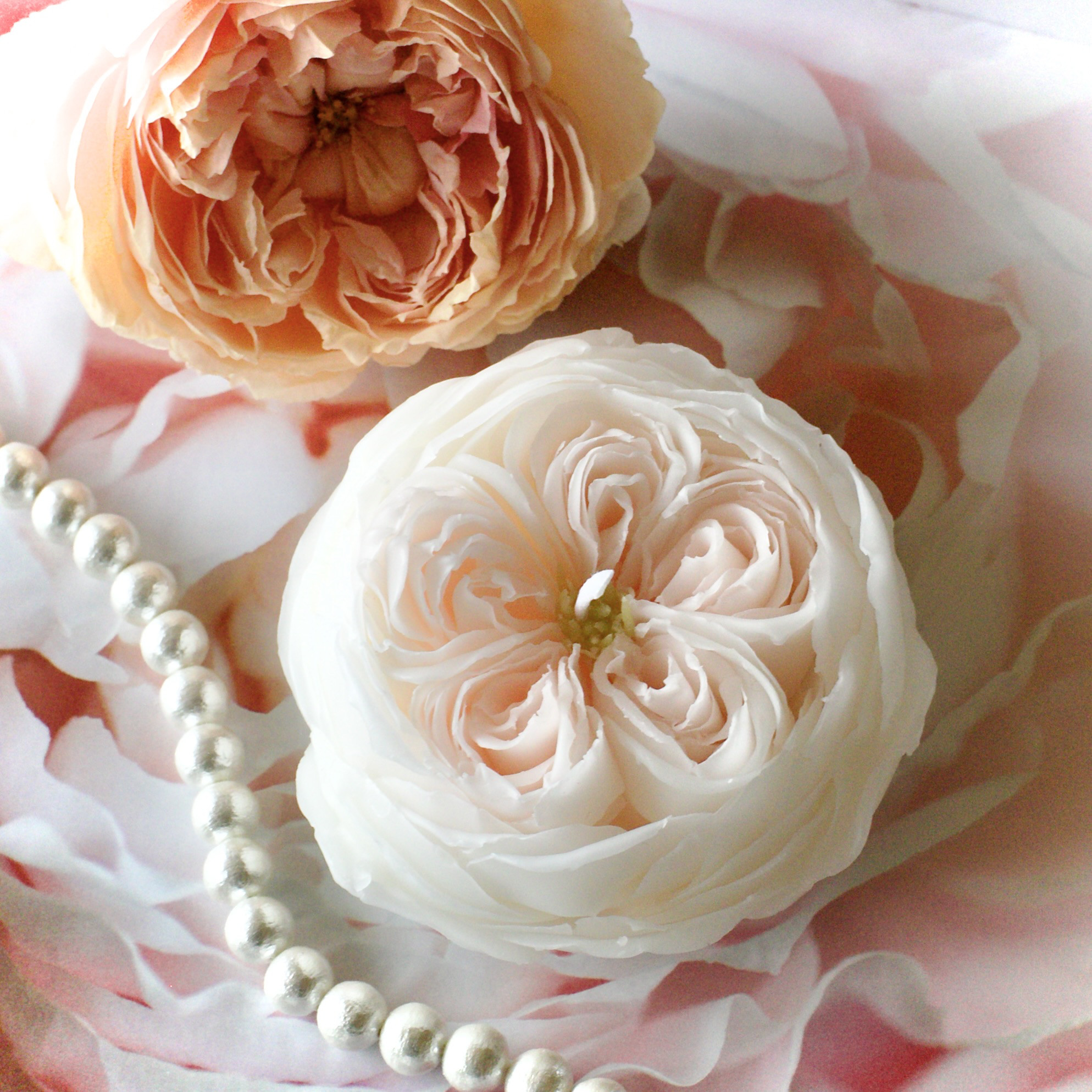 【IANTHE】 薔薇モチーフのキャンドルスタンド トリプルホルダー IANTHE】 薔薇モチーフのキャンドルスタンド トリプルホルダー