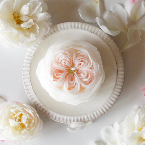 クォーターロゼット咲きの薔薇キャンドル キャンドル