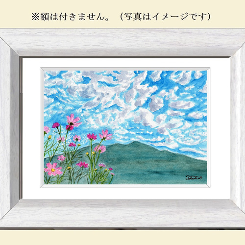 原画一点物 「秋風になびくコスモス」 ＜ペン＋透明水彩＞ 絵画