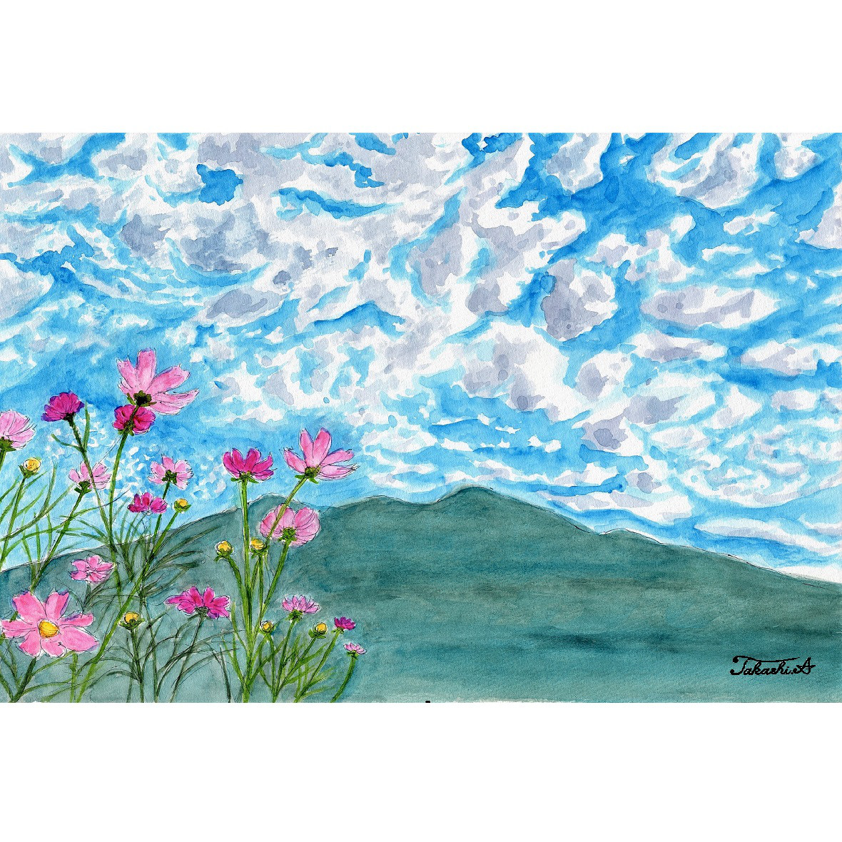 透明水彩画原画風に揺れるコスモスたち 揺れるコスモス」 a watercolor painthing