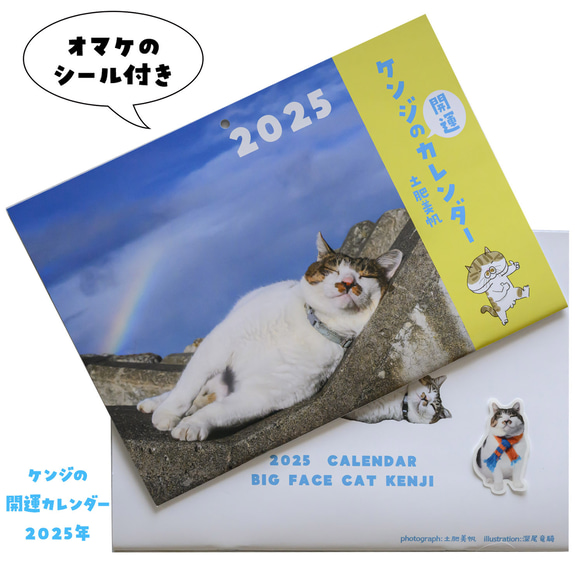 2025年ケンジのカレンダー カレンダー 土肥美帆 通販