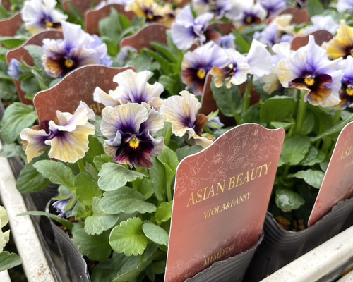 aec6668f85ea967ca011fb1894be9d