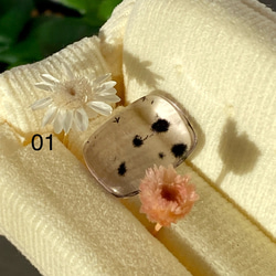 レア♢ロマネサイト/ ホランダイト in アメジスト 01 天然石 天然色