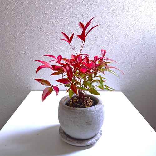 風雅なグラデーション陶器花瓶 風雅なグラデーション陶器花瓶 込め