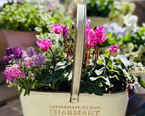 60fadea24543186f191eea45bdb39b