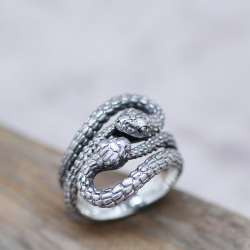 2匹のウロボロス シルバーリング/∞ 指輪・リング GINNEZU 通販