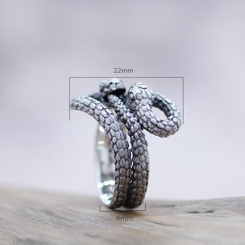 2匹のウロボロス シルバーリング/∞ 指輪・リング GINNEZU 通販