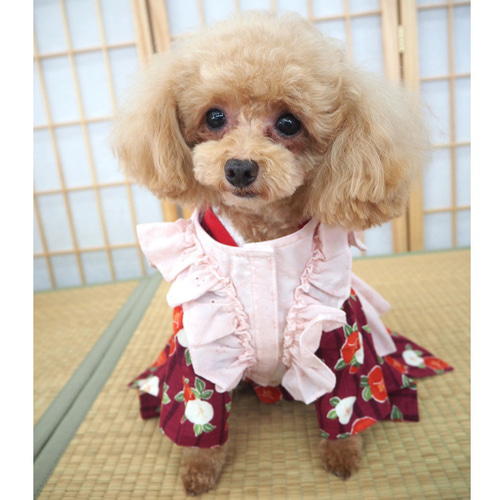 ワンピース ドレス 和柄 和装 着物風 ドックウェア 犬 猫 洋服 ワンピース ドレス 和柄 和装 着物風 ドックウェア 犬 猫 洋服