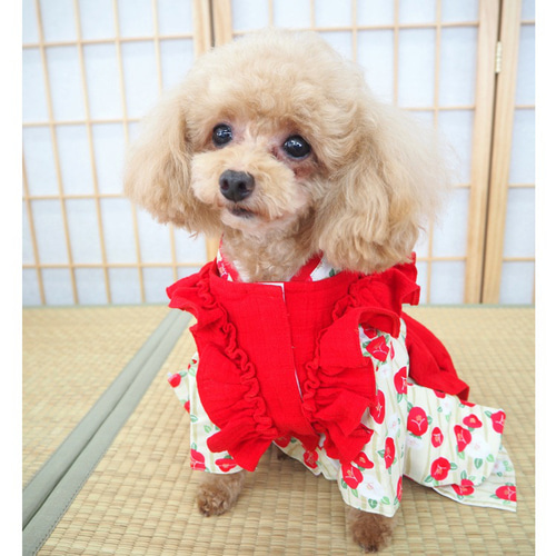 ワンピース ドレス 和柄 和装 着物風 ドックウェア 犬 猫 洋服 ワンピース ドレス 和柄 和装 着物風 ドックウェア 犬 猫 洋服
