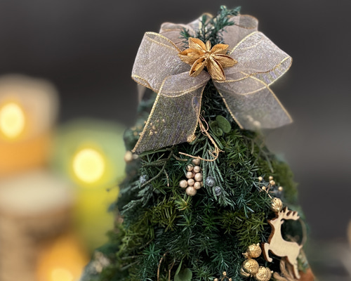 テーブルツリー＊卓上クリスマスツリー＊大人クリスマス プリザーブド