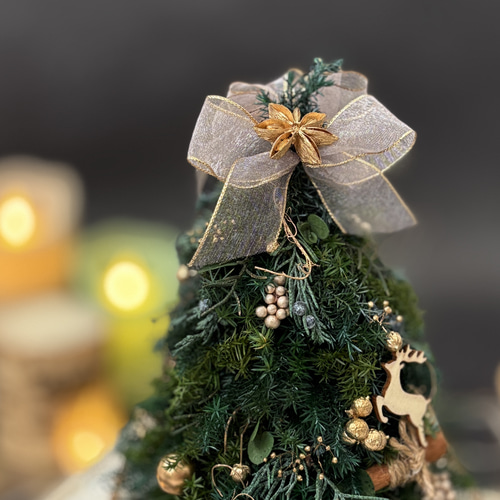 テーブルツリー＊卓上クリスマスツリー＊大人クリスマス プリザーブド