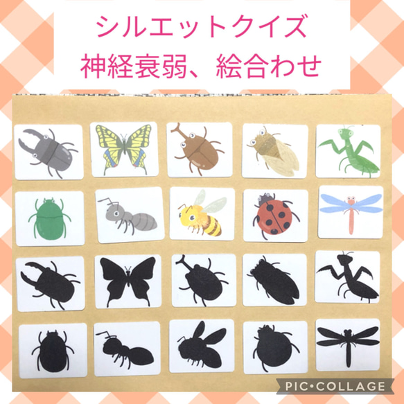 昆虫カード シルエットカード モンテッソーリ 神経衰弱 おもちゃ・人形