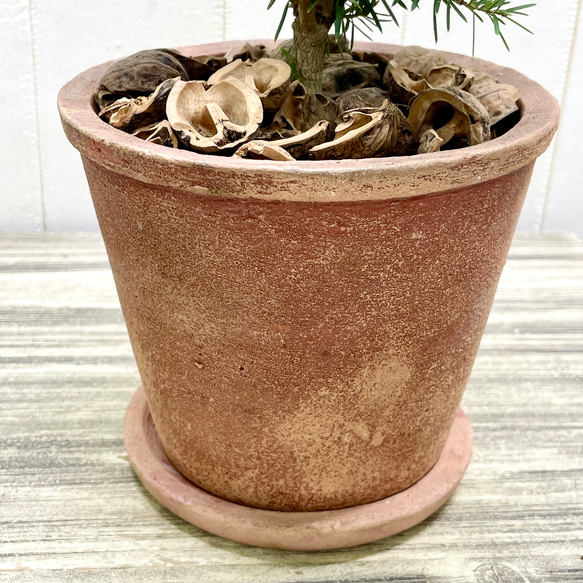 テーブルサイズ   ディスプレイ クリスマスツリー 鉢付 8枚目の画像