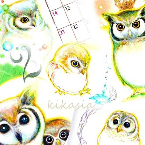 【ふくろうカレンダー 2025】 1枚目の画像