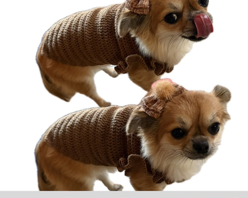 5d86e9b8cdcd8353418c128b97a618