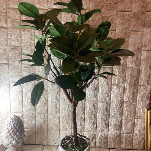 光触媒 人工観葉植物 ウォールグリーン フェイクグリーン ラバー
