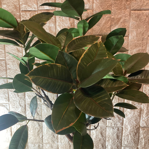 光触媒 人工観葉植物 ウォールグリーン フェイクグリーン ラバー