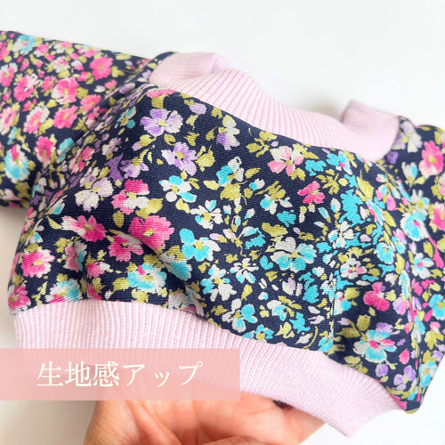 ♡ステラルーまとめ売り♡② ステラルーSサイズ☆お耳キラキラ垂れ耳ゆめかわいい☆ルー