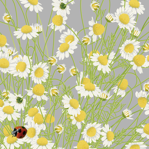 大人っぽいカモミールのブーケ】グレイ背景 インテリア アートポスター