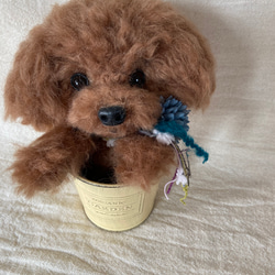 羊毛フェルト トイプードル 愛犬 プレゼント カップ犬 トイプー 羊毛