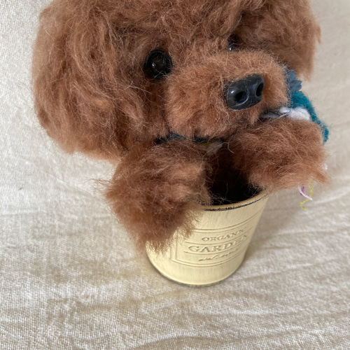 kamin　羊毛フェルト犬　プチチャーム Amazon.co.jp: ハマナカ フェルト羊毛キット ふわふわ羊毛で