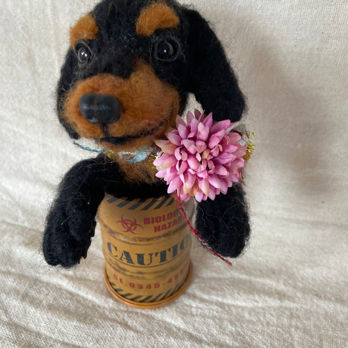 えー　　　羊毛フェルト ダックスフンド ぬいぐるみ 羊毛フェルト 犬 ダックスフンド ❣️ - メルカリ