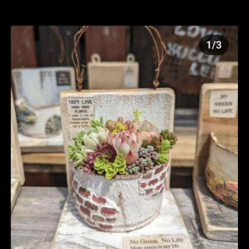 受注製作】リメ缶 ウッドスタンド付き モルタルレンガ風 ③ 多肉植物