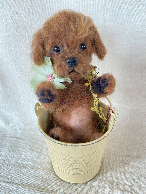 羊毛フェルト　トイプードル 受注製作 》オーダー 犬♡うちの子製作♡羊毛フェルト♡トイ