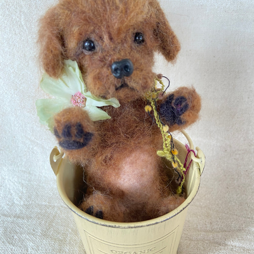 トイプードル 羊毛フェルト 愛犬 プレゼント 赤ちゃん 子犬 羊毛