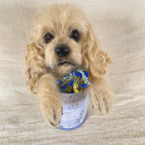 アメリカンコッカースパニエル 羊毛フェルト 羊毛 愛犬