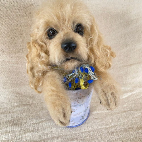 羊毛フェルト　アメリカンコッカースパニエル 参考用 羊毛フェルト アメリカンコッカースパニエル - atelier orion