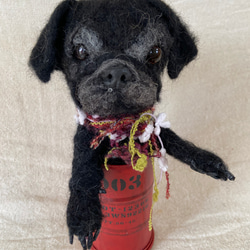 ミニチュアダックスフンド 額 羊毛フェルト 羊毛 犬 プレゼント 羊毛