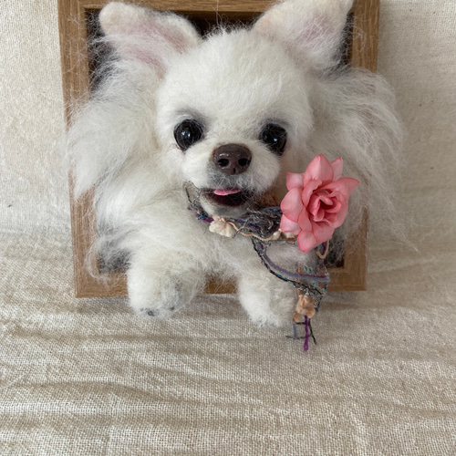 チワワ 愛犬 羊毛フェルト 羊毛 ちわわ プレゼント 羊毛フェルト