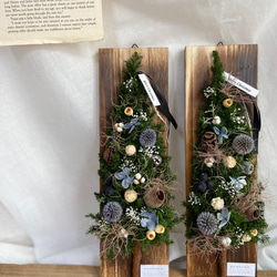 34516b930c1c79d8c8613fa404735e