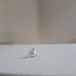 【 てんとう虫のピアス 】テントウムシ ピアス  縁起物 プレゼント 誕生日 お祝い 京都 4枚目の画像