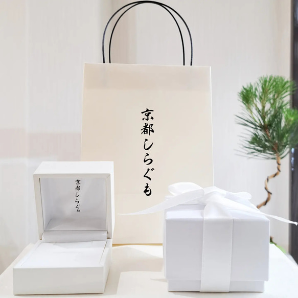 【 てんとう虫のピアス 】テントウムシ ピアス  縁起物 プレゼント 誕生日 お祝い 京都 8枚目の画像