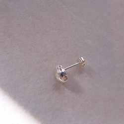 【 てんとう虫のピアス 】テントウムシ ピアス  縁起物 プレゼント 誕生日 お祝い 京都 5枚目の画像