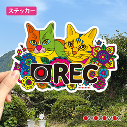 アニマル防水ステッカー♥カメレオン シール・ステッカー
