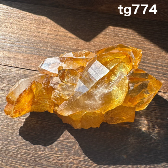 カンチェンジュンガ産 ヒマラヤ水晶 ゴールデンスコーピオン tg774