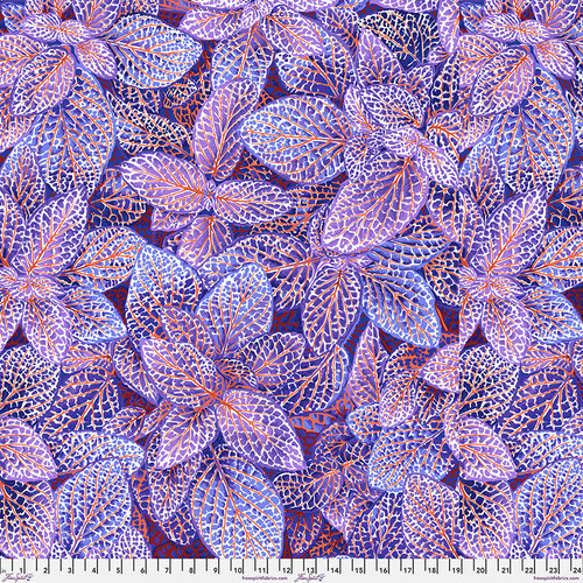 USAコットン　KAFFE FASSETT　ケイフファセット　Fittonia　KF202 1枚目の画像