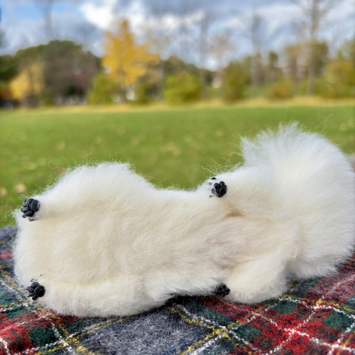 とろけるもふもふ】ペキニーズ【鼻先からおしりまで10.5cm⠀】羊毛