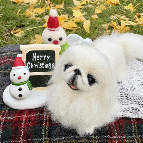 とろけるもふもふ】ペキニーズ【鼻先からおしりまで10.5cm