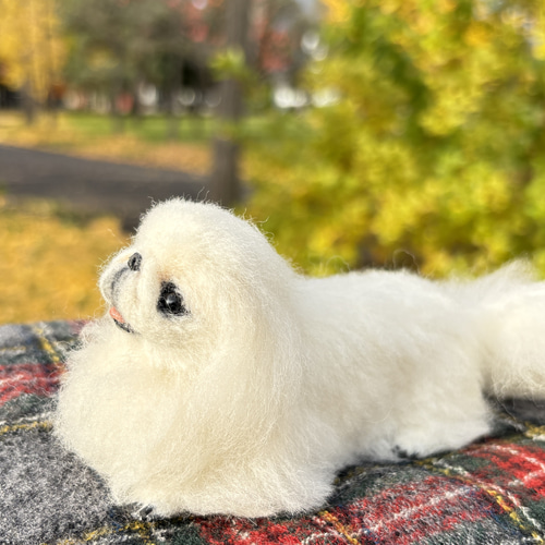 とろけるもふもふ】ペキニーズ【鼻先からおしりまで10.5cm