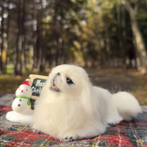 とろけるもふもふ】ペキニーズ【鼻先からおしりまで10.5cm⠀】羊毛