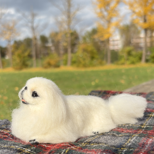 とろけるもふもふ】ペキニーズ【鼻先からおしりまで10.5cm⠀】羊毛